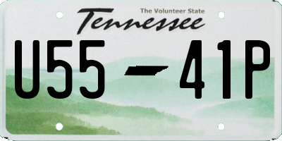 TN license plate U5541P