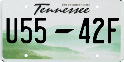 TN license plate U5542F