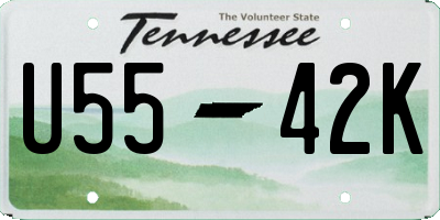 TN license plate U5542K