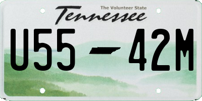 TN license plate U5542M