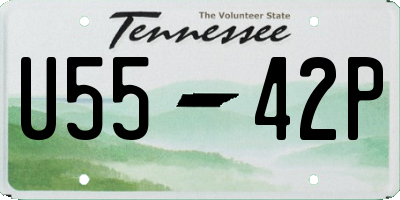 TN license plate U5542P