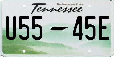 TN license plate U5545E