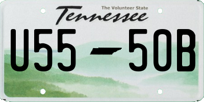 TN license plate U5550B