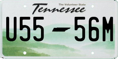 TN license plate U5556M