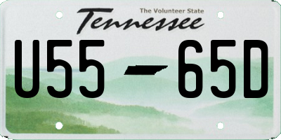 TN license plate U5565D