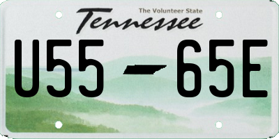TN license plate U5565E