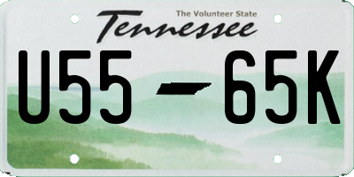 TN license plate U5565K
