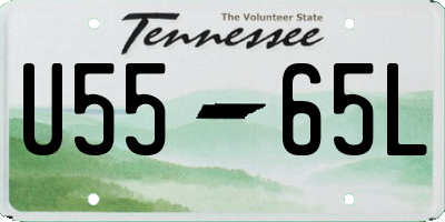 TN license plate U5565L