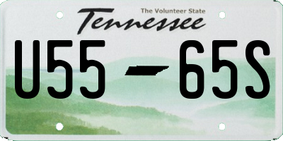 TN license plate U5565S