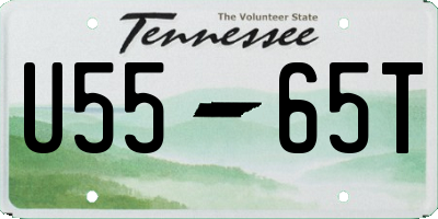 TN license plate U5565T