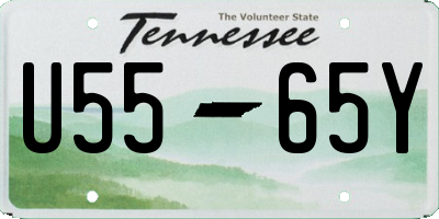 TN license plate U5565Y
