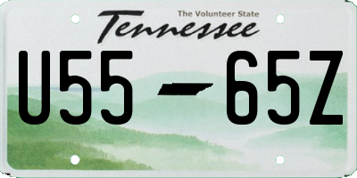 TN license plate U5565Z