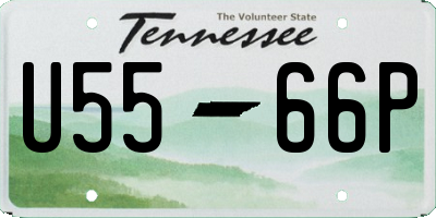 TN license plate U5566P