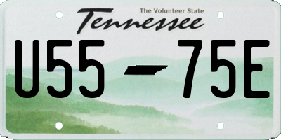 TN license plate U5575E
