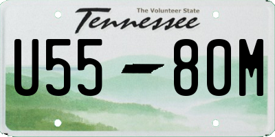 TN license plate U5580M