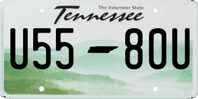 TN license plate U5580U