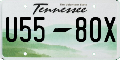 TN license plate U5580X