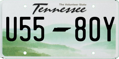 TN license plate U5580Y