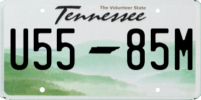 TN license plate U5585M