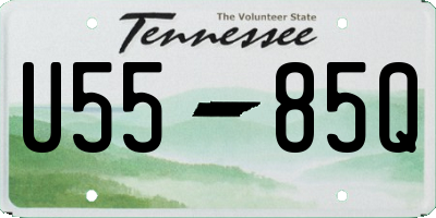 TN license plate U5585Q