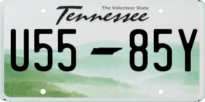 TN license plate U5585Y