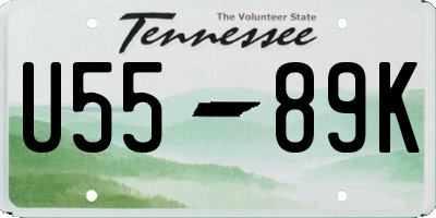 TN license plate U5589K