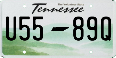 TN license plate U5589Q