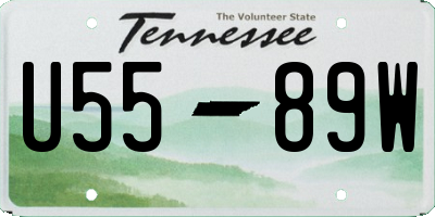 TN license plate U5589W