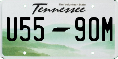 TN license plate U5590M