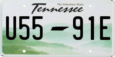 TN license plate U5591E