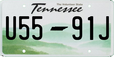 TN license plate U5591J