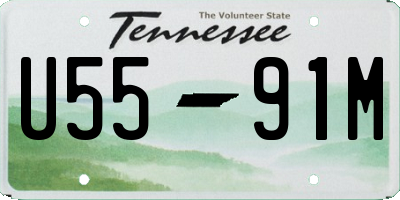 TN license plate U5591M