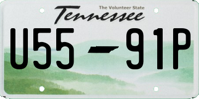 TN license plate U5591P