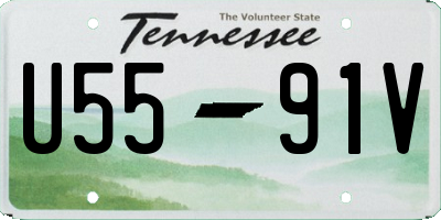 TN license plate U5591V