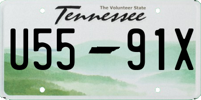 TN license plate U5591X