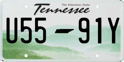 TN license plate U5591Y