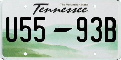 TN license plate U5593B