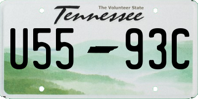TN license plate U5593C