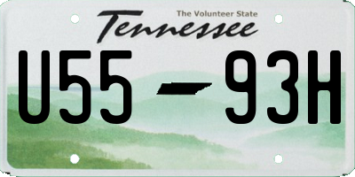 TN license plate U5593H