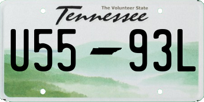 TN license plate U5593L