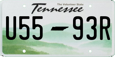TN license plate U5593R
