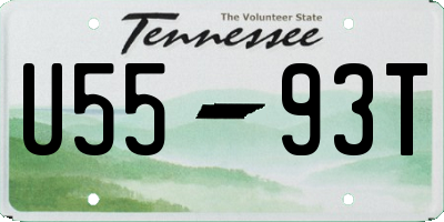 TN license plate U5593T