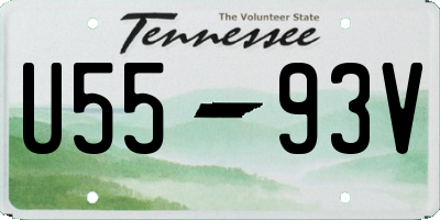TN license plate U5593V