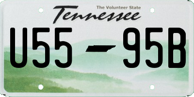 TN license plate U5595B