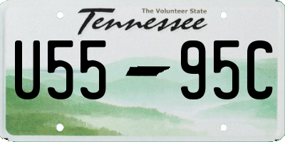 TN license plate U5595C