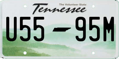 TN license plate U5595M