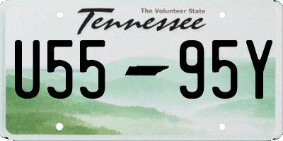 TN license plate U5595Y