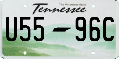 TN license plate U5596C