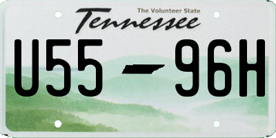 TN license plate U5596H
