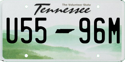 TN license plate U5596M